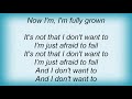 Josh Rouse - Afraid To Fail Lyrics