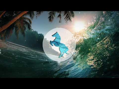 Mr Probz - Waves (Nauwells Remix)
