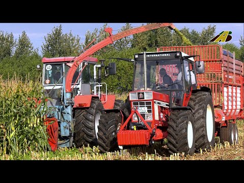 Großeinsatz Maishäckseln - 40 Traktoren & Häcksler - Schlüter 2200, Fendt, IHC & Co - Maisernte 2025