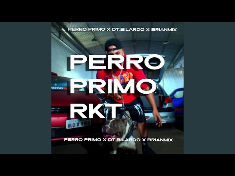 Perro Primo Rkt