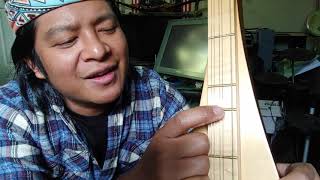 Video thumbnail for Apple Creek Dulcimer Review +Mods (5 String) by Mountain Home - Jerrel D