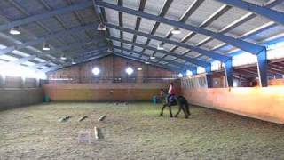 preview picture of video 'Five years old Friesian gelding in the riding hall.'
