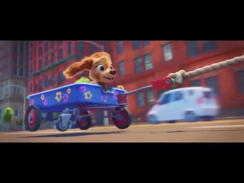 Video preview