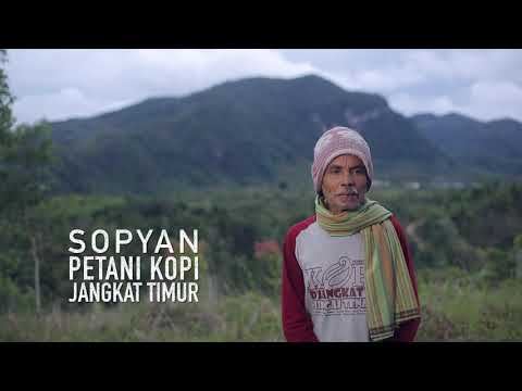 Robusta D'Jangkat Sungai Tenang