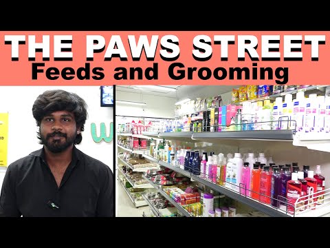 The Paws Street - Yapral