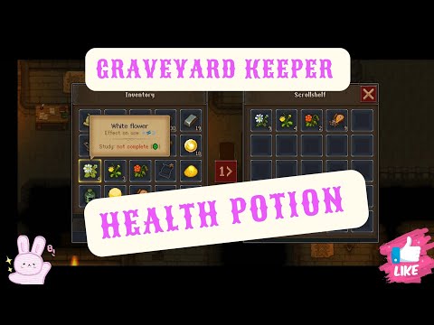 Health Solution Graveyard Keeper