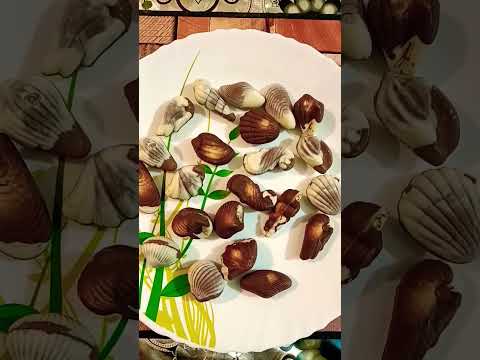 #Guylian Belgian chocolates..😍 #shorts #youtubeshorts