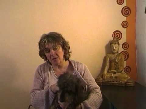 Inkontinens - ufrivillig vandladning - Metamedicin v. Ingeborg Hjortsballe.wmv