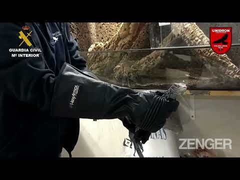 Cops Seize Largest Ever Private Collection Of Poisonous Animals In Mans Home