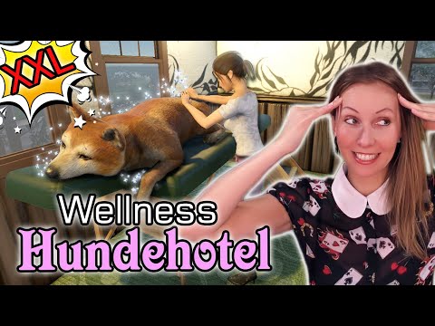 PETS HOTEL 🐶 10 TAGE in meinem HUNDEHOTEL 🏠 Pets Hotel deutsch
