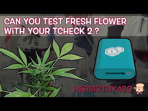 TCheck 2 Fresh Flower Potency Test: 3 Key Findings
