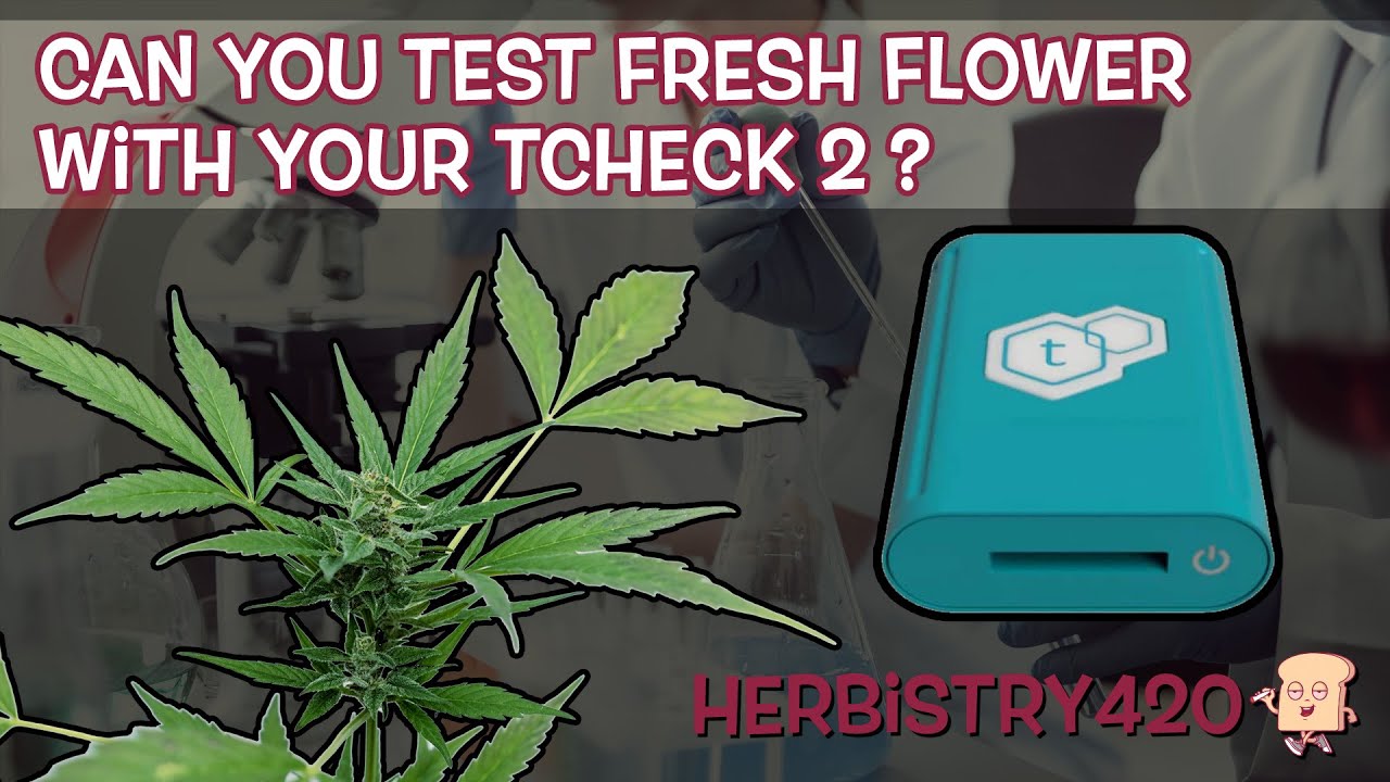 TCheck 2 Fresh Flower Potency Test: 3 Key Findings
