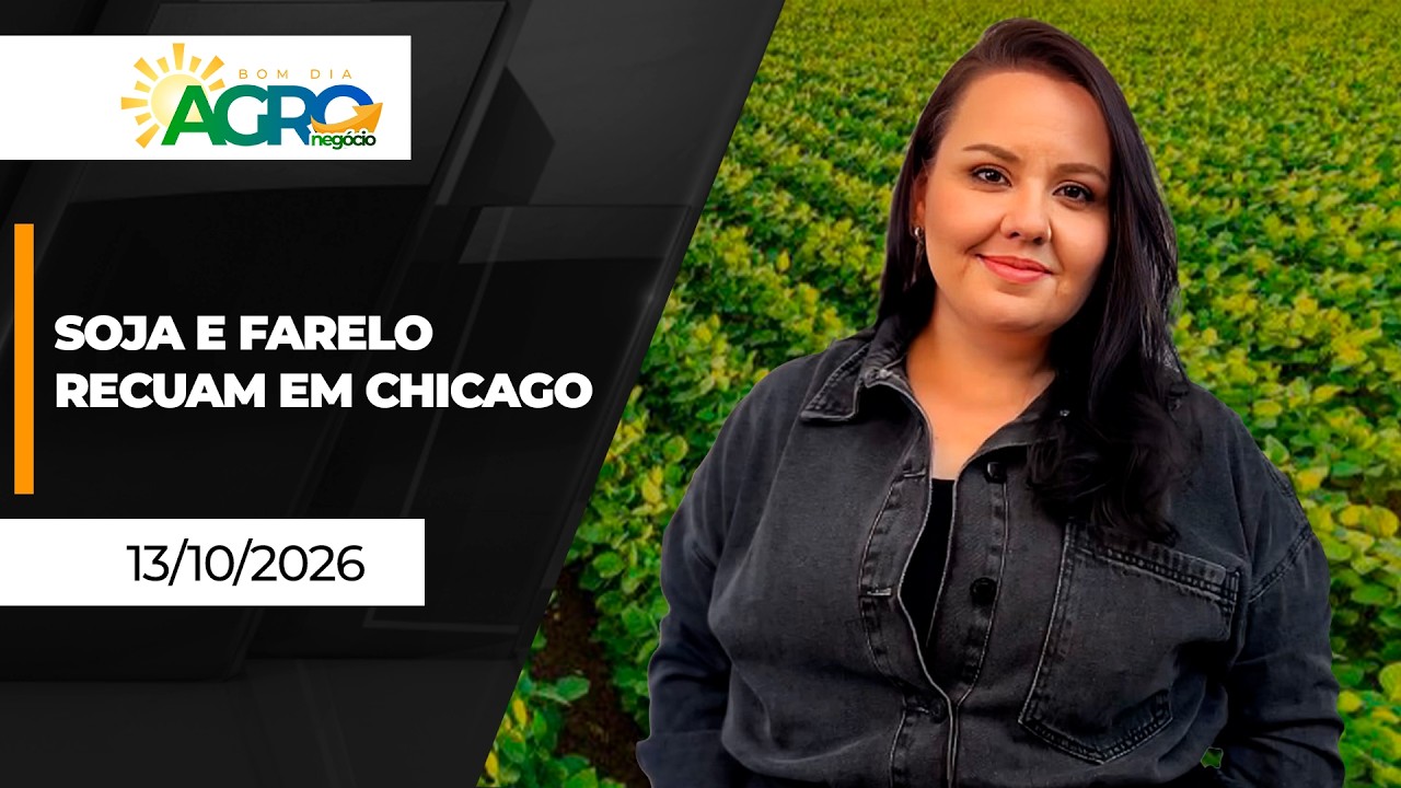 Bom Dia Agro - Soja e farelo recuam em Chicago; café ainda sobe em NY