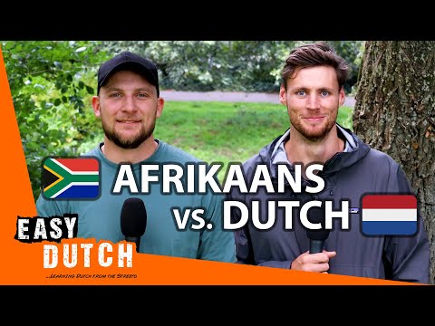 Afrikaans en Nederlands Vergeleken | Easy Dutch Special 4