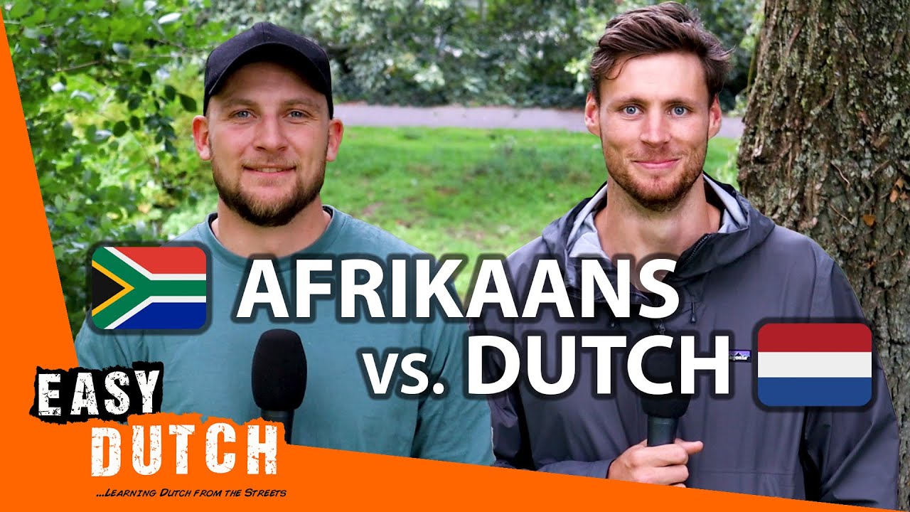 How Similar Are Afrikaans and Dutch? | Easy Dutch Special 4