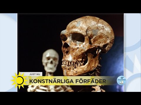Ny upptäckt talar emot vad vi vet om neandertalare  - Nyhetsmorgon (TV4)