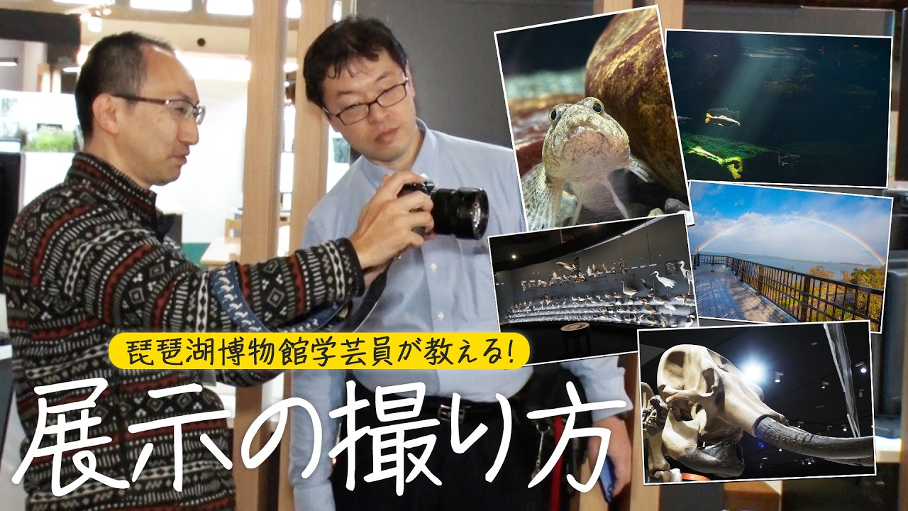 【写真好きな学芸員が伝授】琵琶湖博物館のフォトスポットを綺麗に撮影する方法とは？