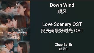 Love Scenery 良辰美景好时光 OST (LYRIC/ENG/