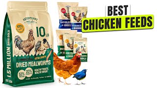 3 BEST Chicken Feed - Hurry, Healthier Eggs Start Here!