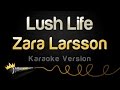 Zara Larsson Lush Life Karaoke Version