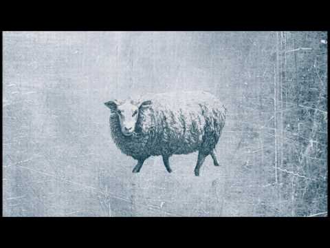 Pieśń "Dobry Pasterzu"