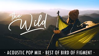 The Wild - Calm acoustic pop mix | Best of Bird of Figment (feat. Cody Francis and more)