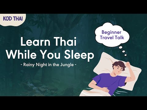 Learn Thai While You Sleep | Rainy Night in the Jungle | Beginner Travel Talk