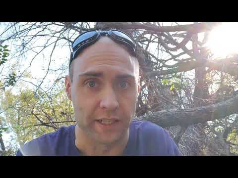 The DEVIC KINGDOM/Rule Of 3S  ( ๑‾̀◡‾́)σ"