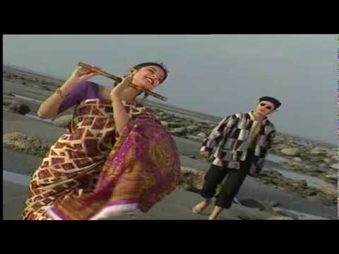 Pakiza Garden Print Saree - Nobel and Mou