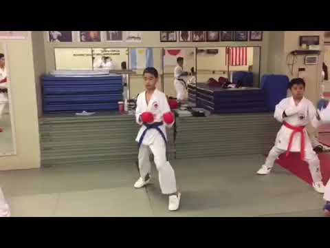 Bushido Karate Shotokan USA beginning class