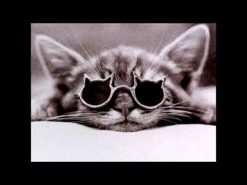 Dusty Springfield - Spooky (Simon Ray & Michael Lee Remix / DJ Bl@ckB@ss Edit)