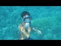 Enlarged spleen key to diving endurance of ‘sea nomads’