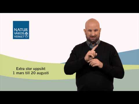 Allemansrätten om hundar i naturen. På teckenspråk.