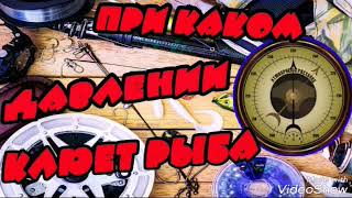 При каком давлении клюет рыба в октябре