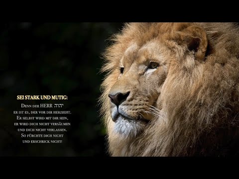 Martin Ben David - Sei stark und mutig (Instrumental) Heiliger Wortklang WSG