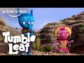 Tumble Leaf Season 4, Part 2 - Clip: Rolling Rock | Prime Video Kids