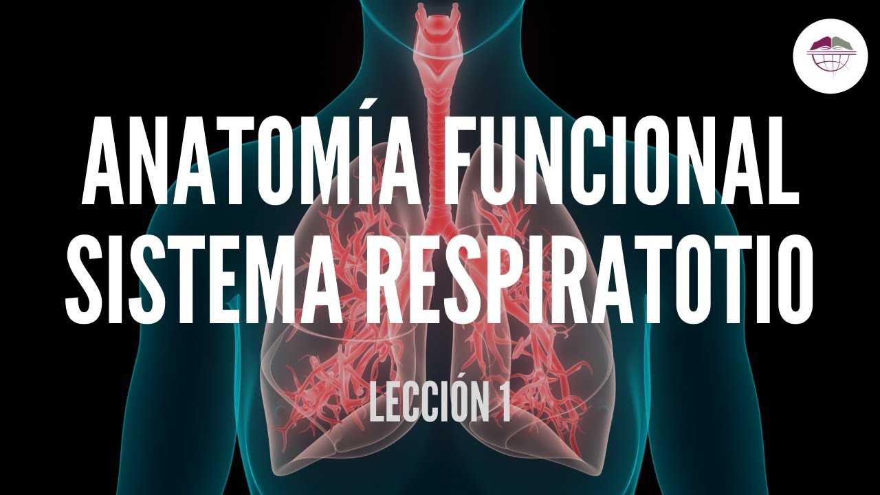 1. ANATOMÍA FUNCIONAL DEL SISTEMA RESPIRATORIO (FISIOLOGÍA DEL SISTEMA RESPIRATORIO)