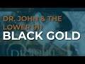 Dr. John & The Lower 911 - Black Gold (Official Audio)