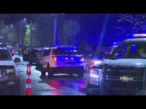 Police respond to report of shots fired in Fairview