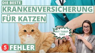 Beste Krankenversicherung für Katzen - 5 Fehler & Tarif-Tipps