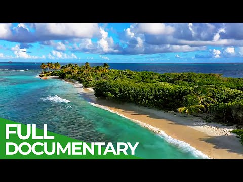 , title : 'Saint Vincent and the Grenadines - Caribbean Island Paradise | Free Documentary Nature'