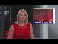 Jonesborough Kicks Off Multi Day July 4th Celebration