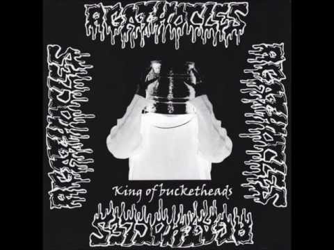 Agathocles - Night Brings Insight