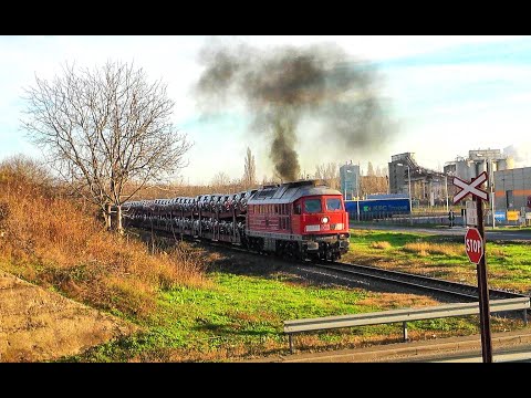 Ludmila 1009-8 Nicolae Titulescu la tracțiunea navetei de autoturisme Craiova-Episcopia Bihor