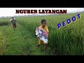 Sambitan Layangan Adu Layang Layang