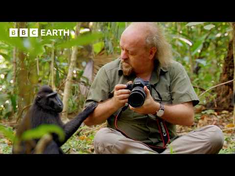 A Jungle Expedition With Bill Bailey | BBC Earth | BBC Studios