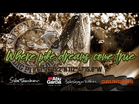 Where Pike Dreams Come True [4K]