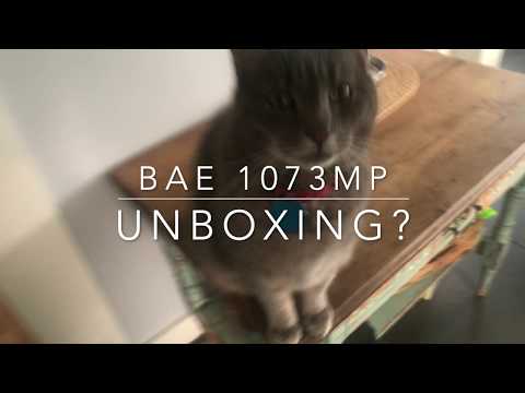 Lindsey Buck VLOG 179 unboxing BAE 1073mp and inside a vintage Neve 1272