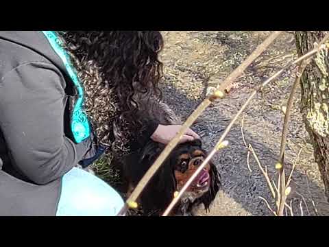 Motorola Moto G100 i Audio Zoom