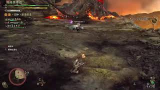 [MHWilds]自分記録用313